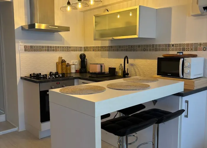 Maison Proche Centre-ville Et Futuroscope 別荘 *